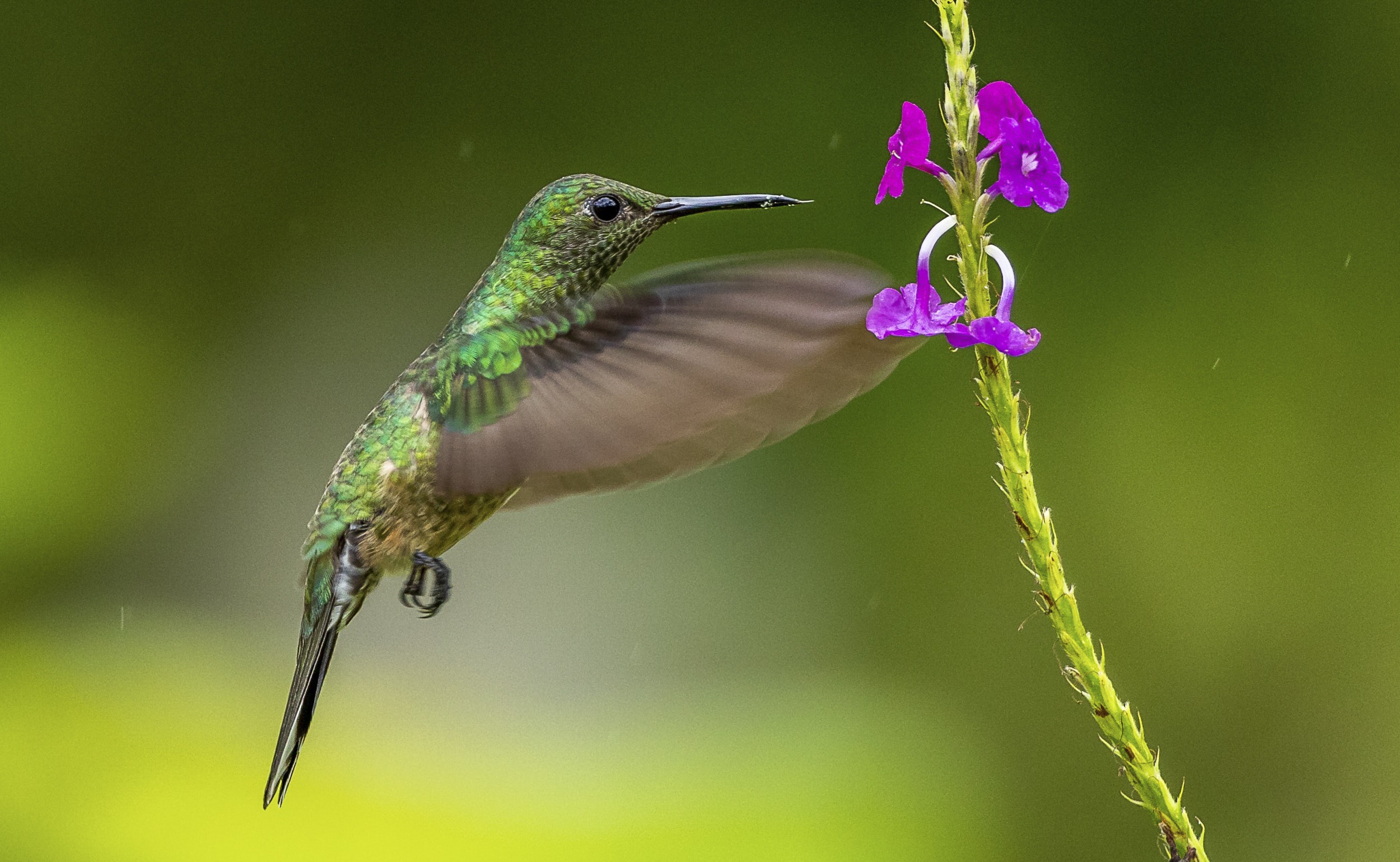 bird photography excursion