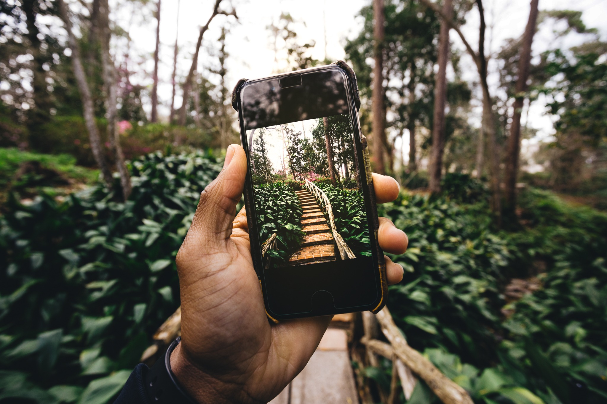 register for the mobile photography course