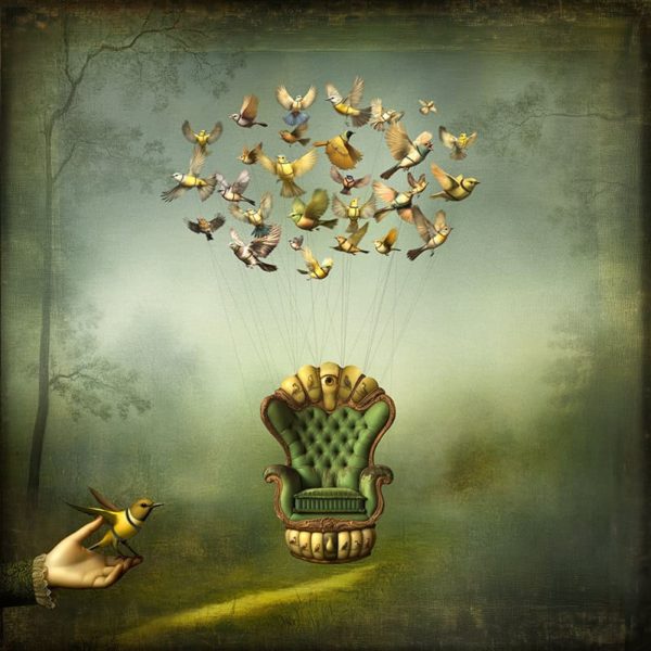 A convergence of birds.