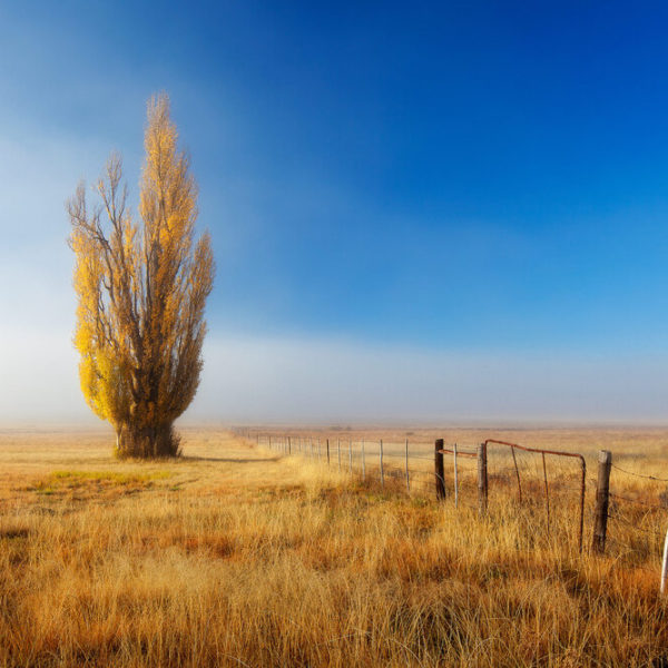 Eastern-Cape-Highlands-7