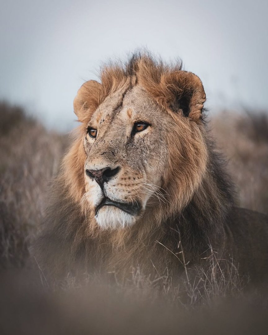 David duChemin: Vision and Wonder in Nature Photography
