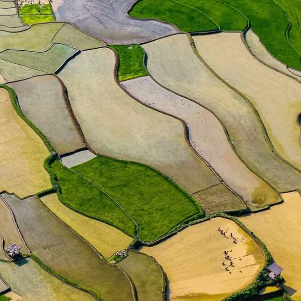 Flying over the rise Terrace is in the north of Vietnam. What an amazing site.#asia #culturephot (1)