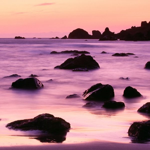 If you’re looking to get away in March, a few spaces still remain to join us on the Oregon Coast (2)