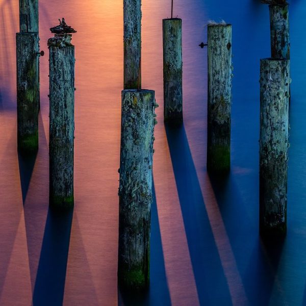 If you’re looking to get away in March, a few spaces still remain to join us on the Oregon Coast (3)