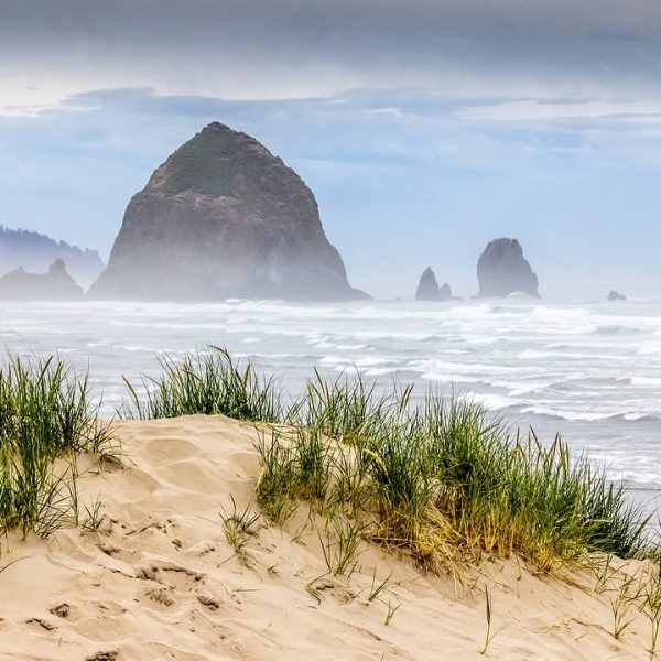 If you’re looking to get away in March, a few spaces still remain to join us on the Oregon Coast