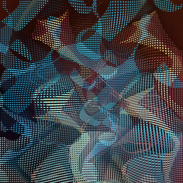 12-Kangaroo-Conga-Line-30x40-Web