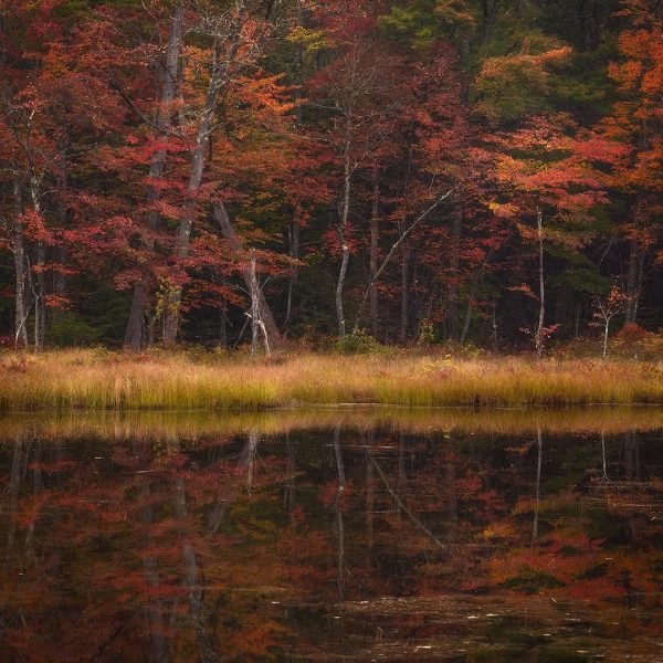 Gorgeous autumn scene on a small pond somewhere in New Hampshire the other day.