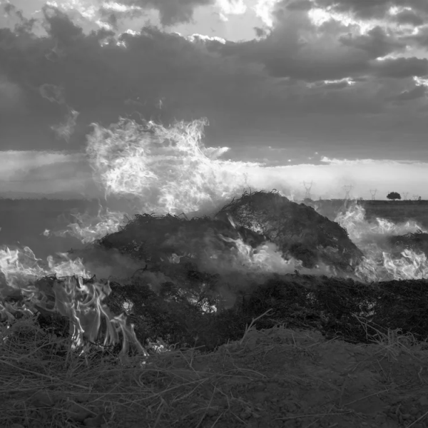 Sara_Abbaspour_floating+ocean_7