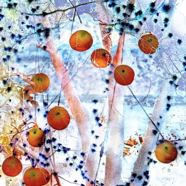 Yuzu-Saturday-20x24-IG