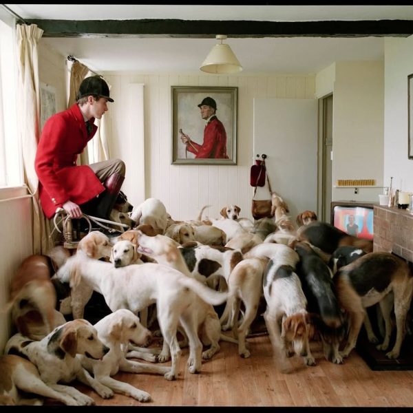 A pack of hounds is an unruly bunch — and very much an illustration to the point of never workin