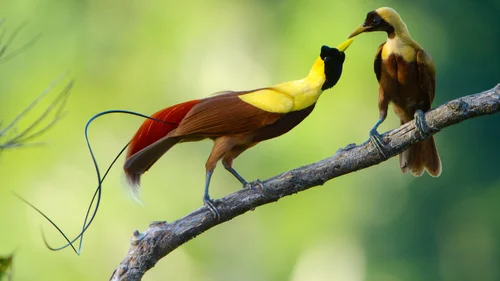 A018_C024_0627F2.2623.0002623F