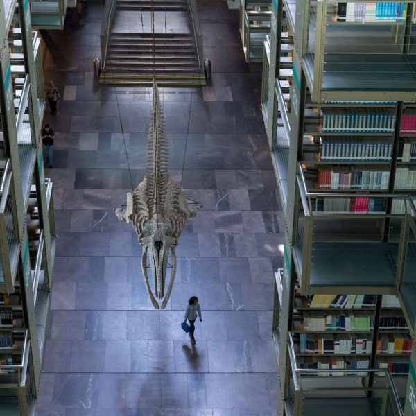 35Vasconcelos-AKA-3702-1440x0-c-default