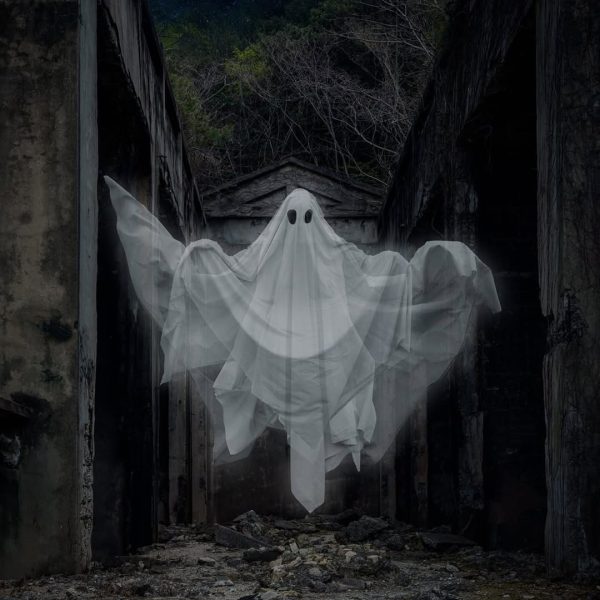 Between the competing demands of #entrepreneurlife I only had about 30 mins to throw something t