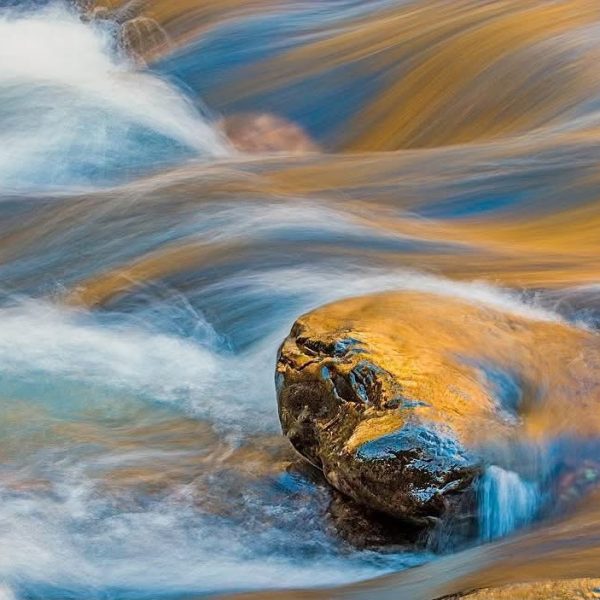 Gold NuggetSwift River, NH#fallreflections #swiftriver #fastexposure_water #fineart