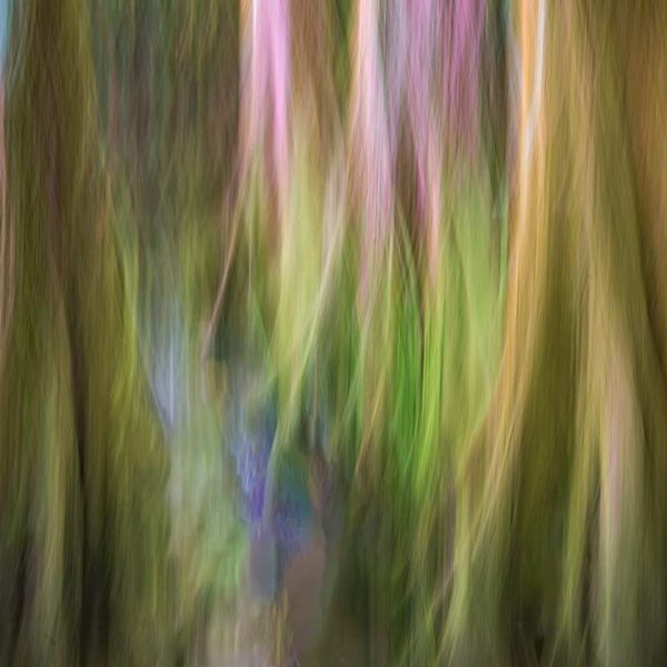 Introducing a brand-new class and instructor at LACP- Beyond the Bloom — Nature & Floral Photogr (1)