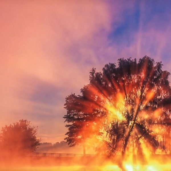 Pulling up old images while we’re driving to the Smokies. This is a late fall sunrise from Willi