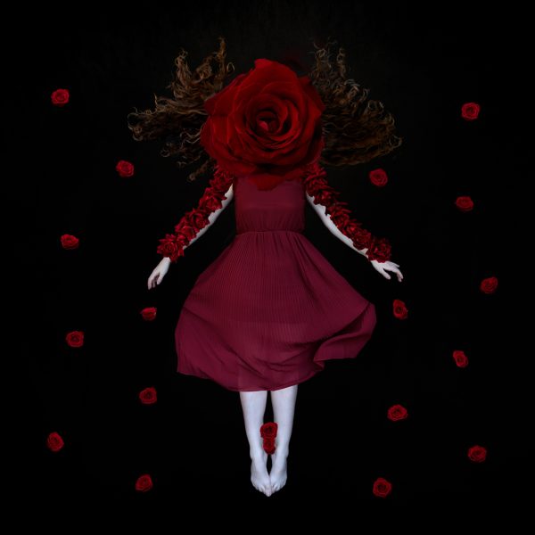 This is my first new fine art image in a year as all my time is now devoted to my other passion