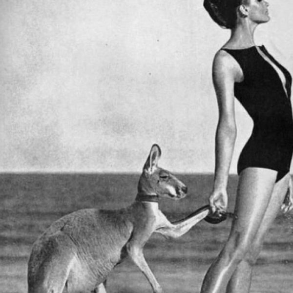 #helmutnewton #celebrityfashion #celebritystyle #fashion #fashionblogger #attphotography #fashio (10)