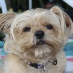 Profile picture of Kyra Hagerman